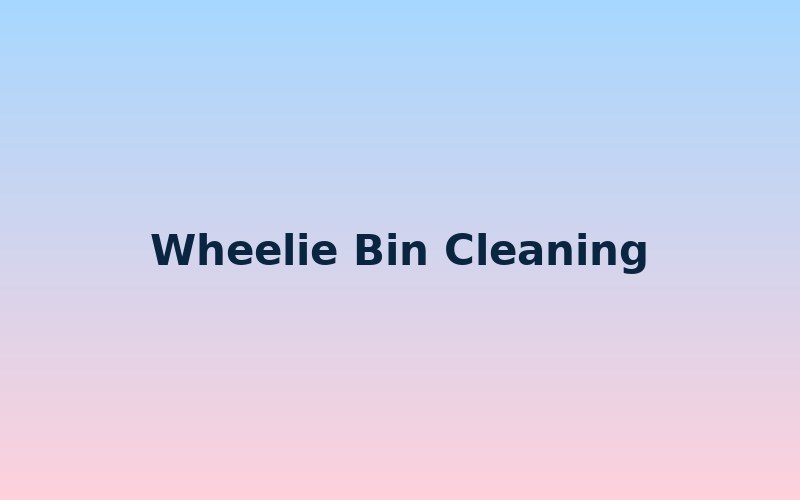 Wheelie bin cleaning